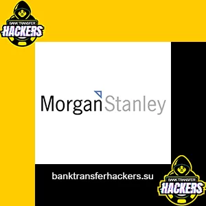BANK-Morgan Stanley USA